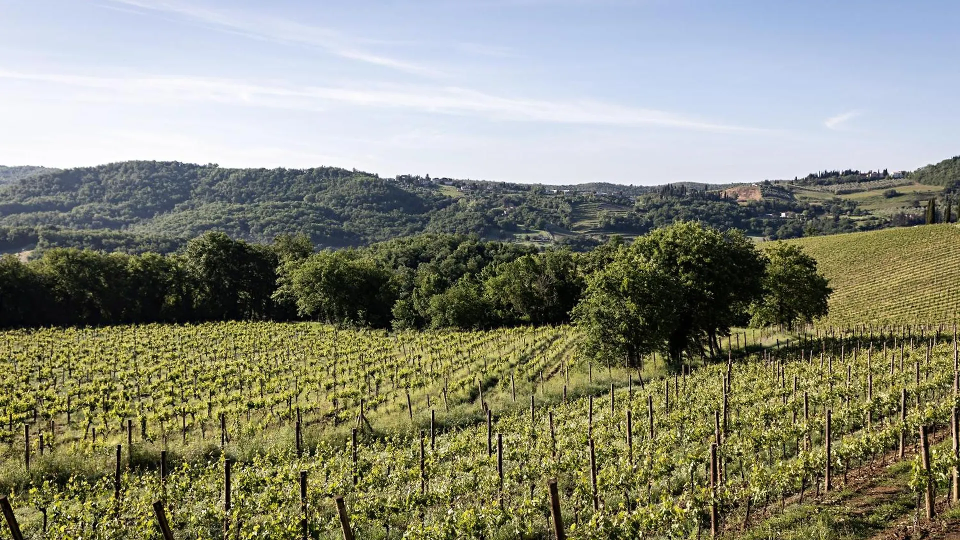Hotel Pieve Aldina Relais & Chateaux Radda in Chianti
